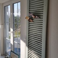 Wohnbereich